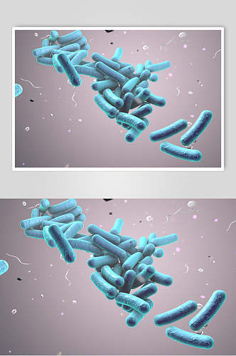 杆细胞病菌图片