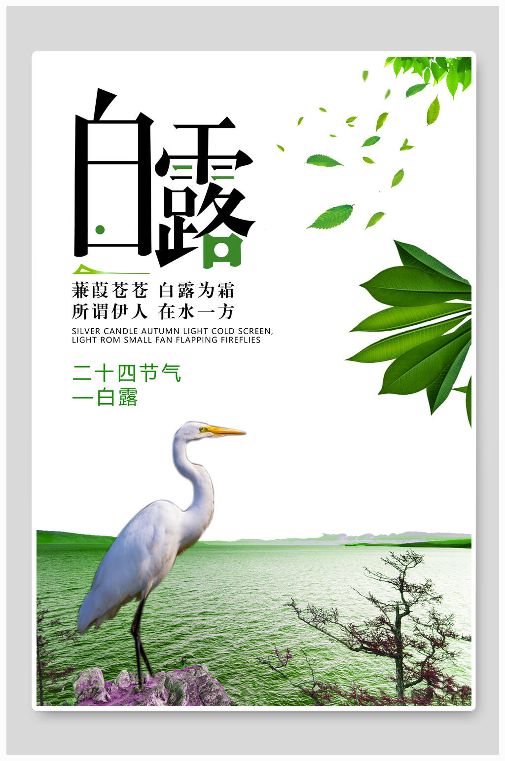 碧绿湖水白露二十四节气海报素材