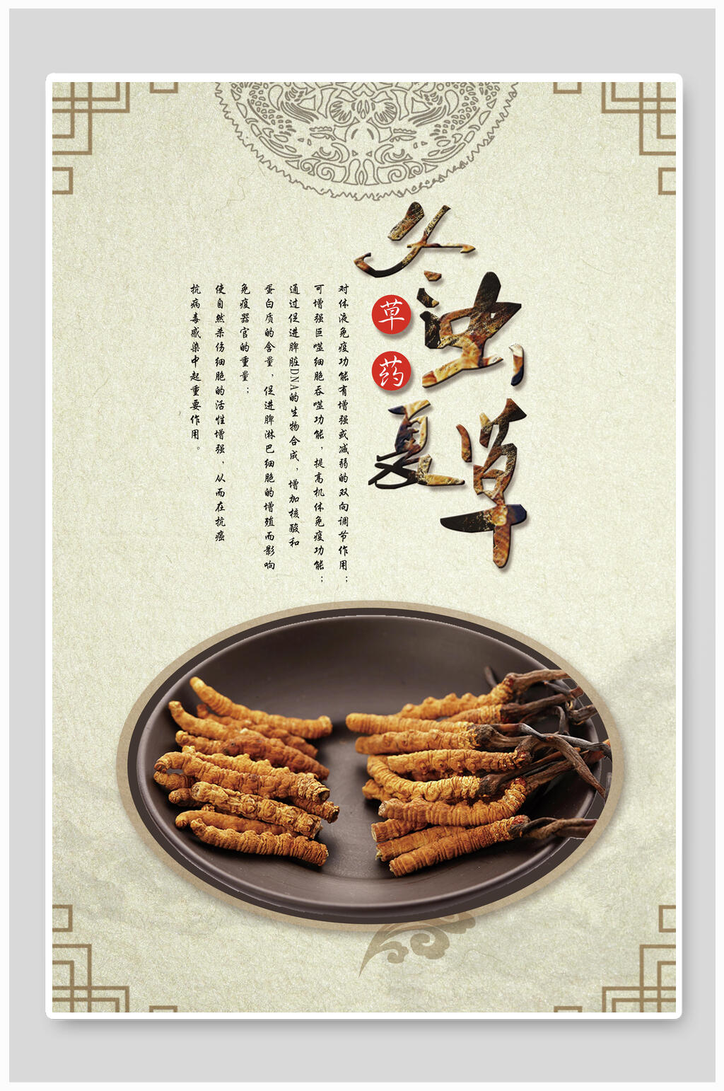精美冬虫夏草食材促销海报素材