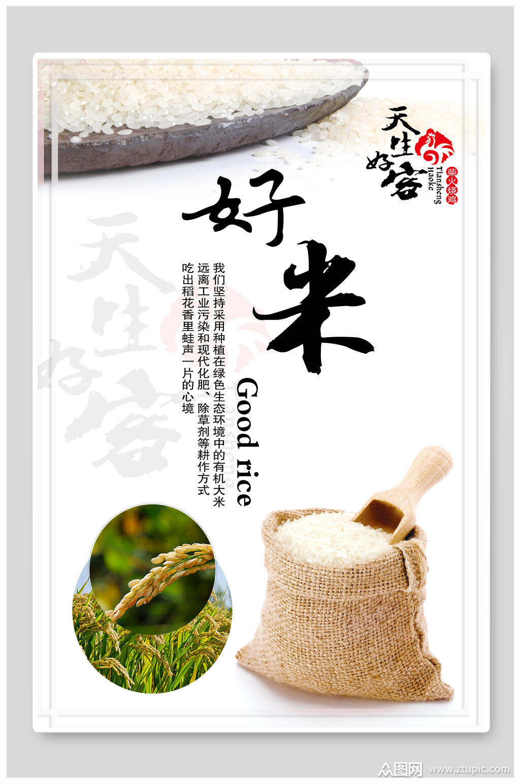 天生好客好米大米稻米饭店促销宣传海报素材