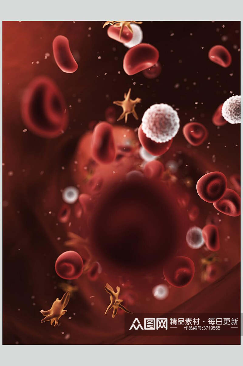 红色细胞病菌图片素材