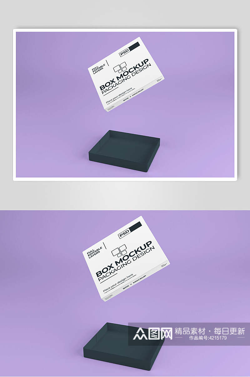 英文字母长方形紫色包装盒样机素材
