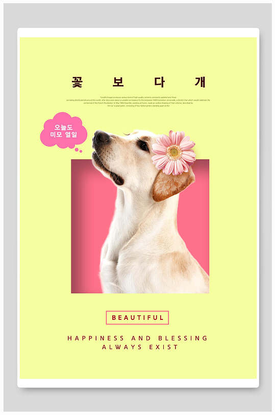 韩文狗狗宠物店海报
