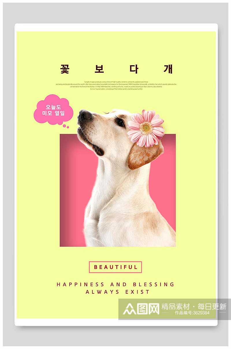 韩文狗狗宠物店海报素材