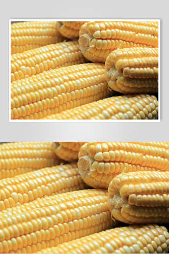 白色玉米高清图片