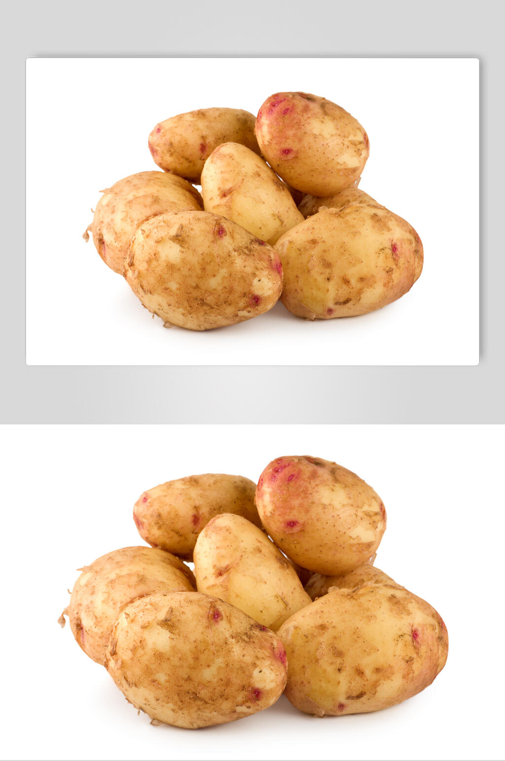 一堆土豆图片素材