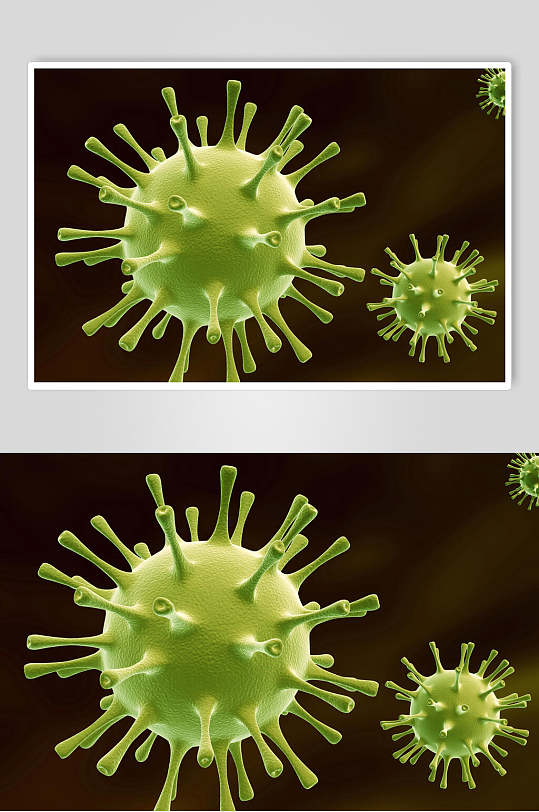 绿色冠状细胞病菌图片