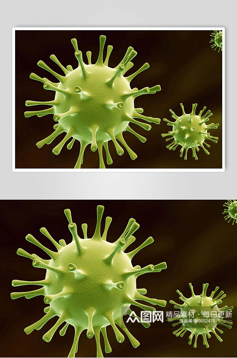 绿色冠状细胞病菌图片素材