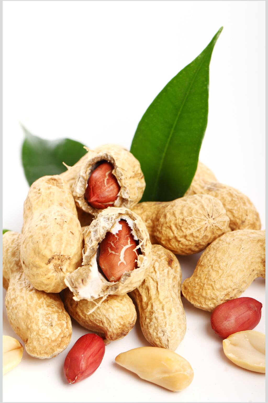 花生米花生仁图片素材