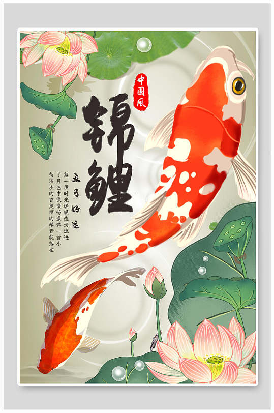 荷花双鲤鱼五月锦鲤海报