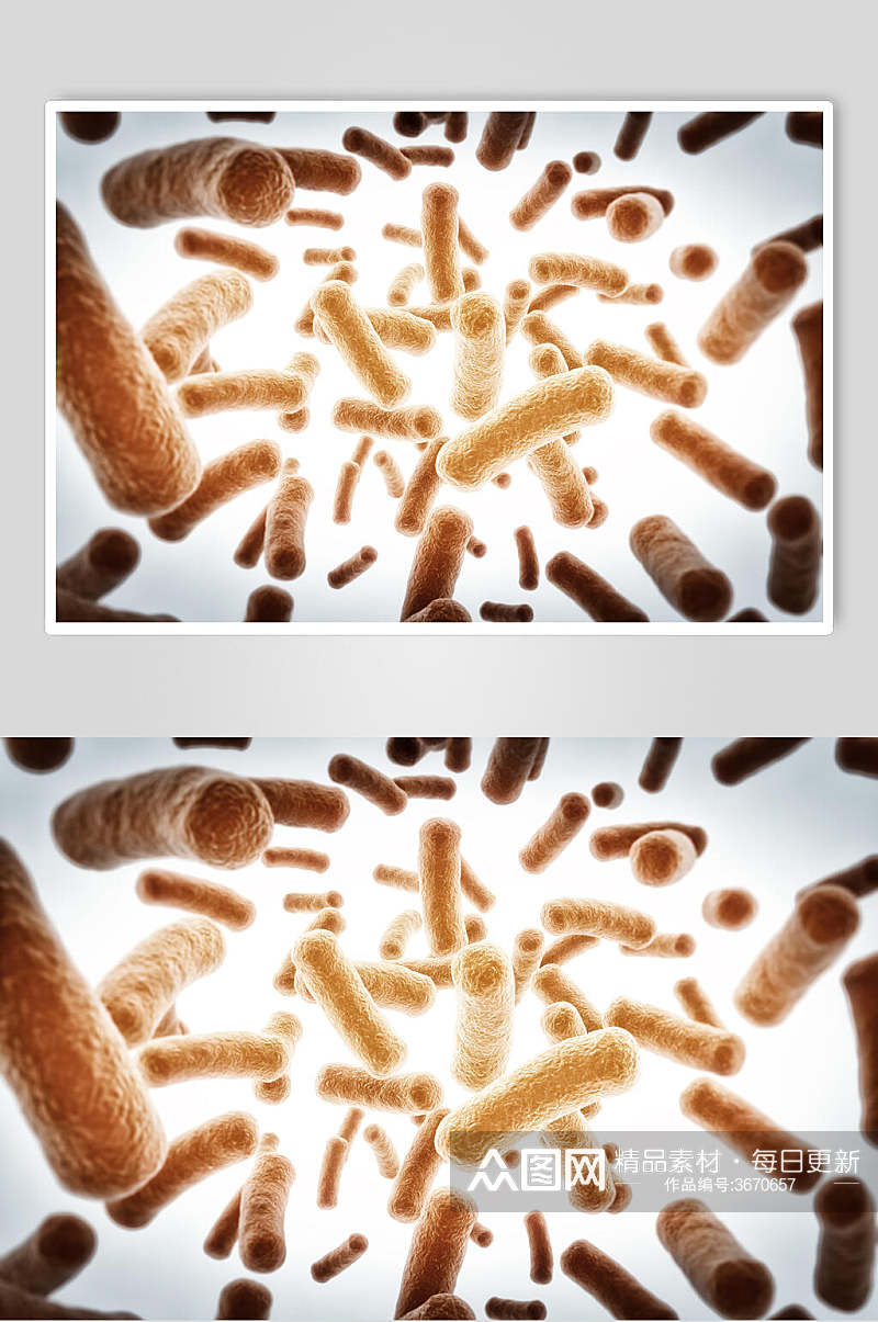 细胞病菌病毒图片素材