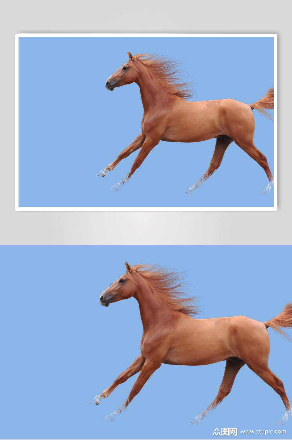 清新蓝色草原马骏马素材