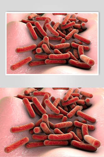 红色条状细胞病菌图片
