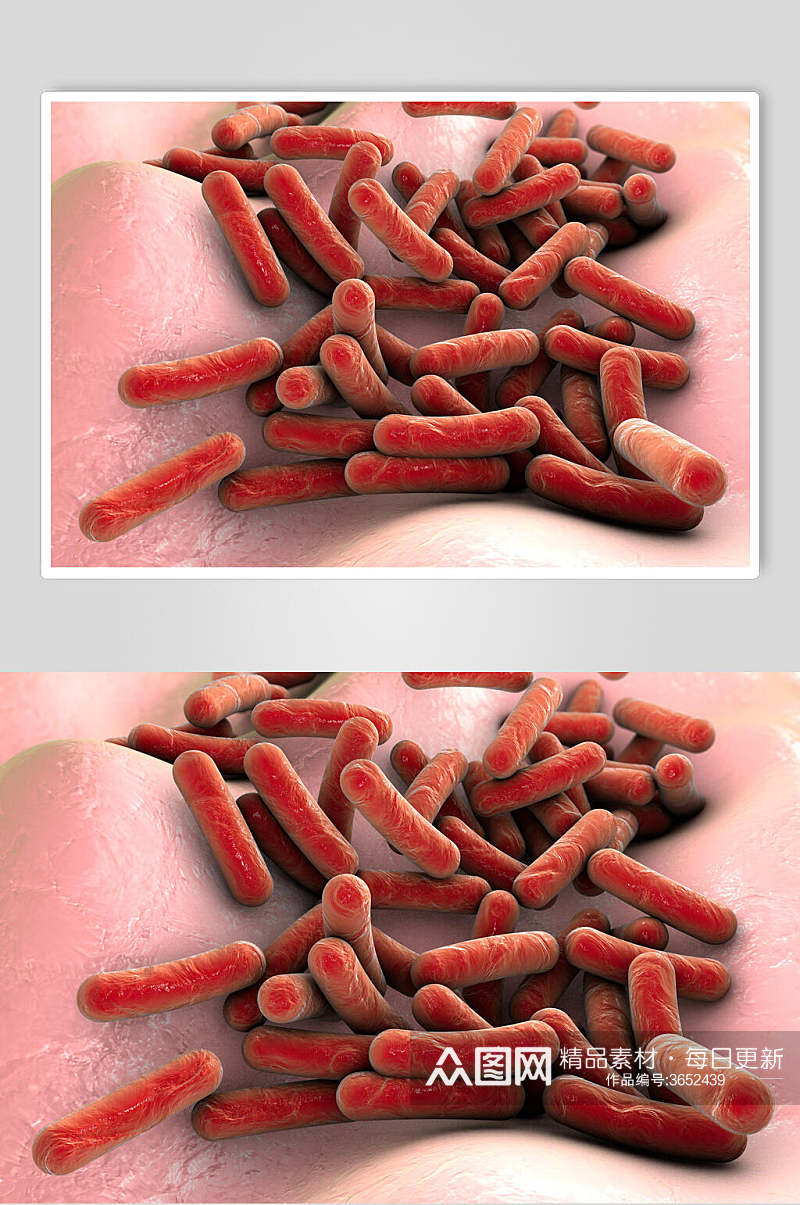 红色条状细胞病菌图片素材