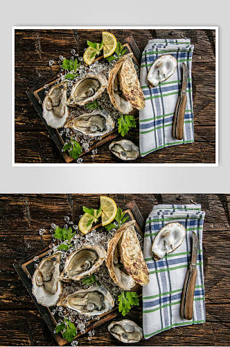 新鲜美味食品牡蛎图片