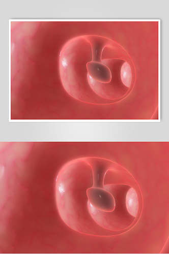 红色圆形细胞病菌图片
