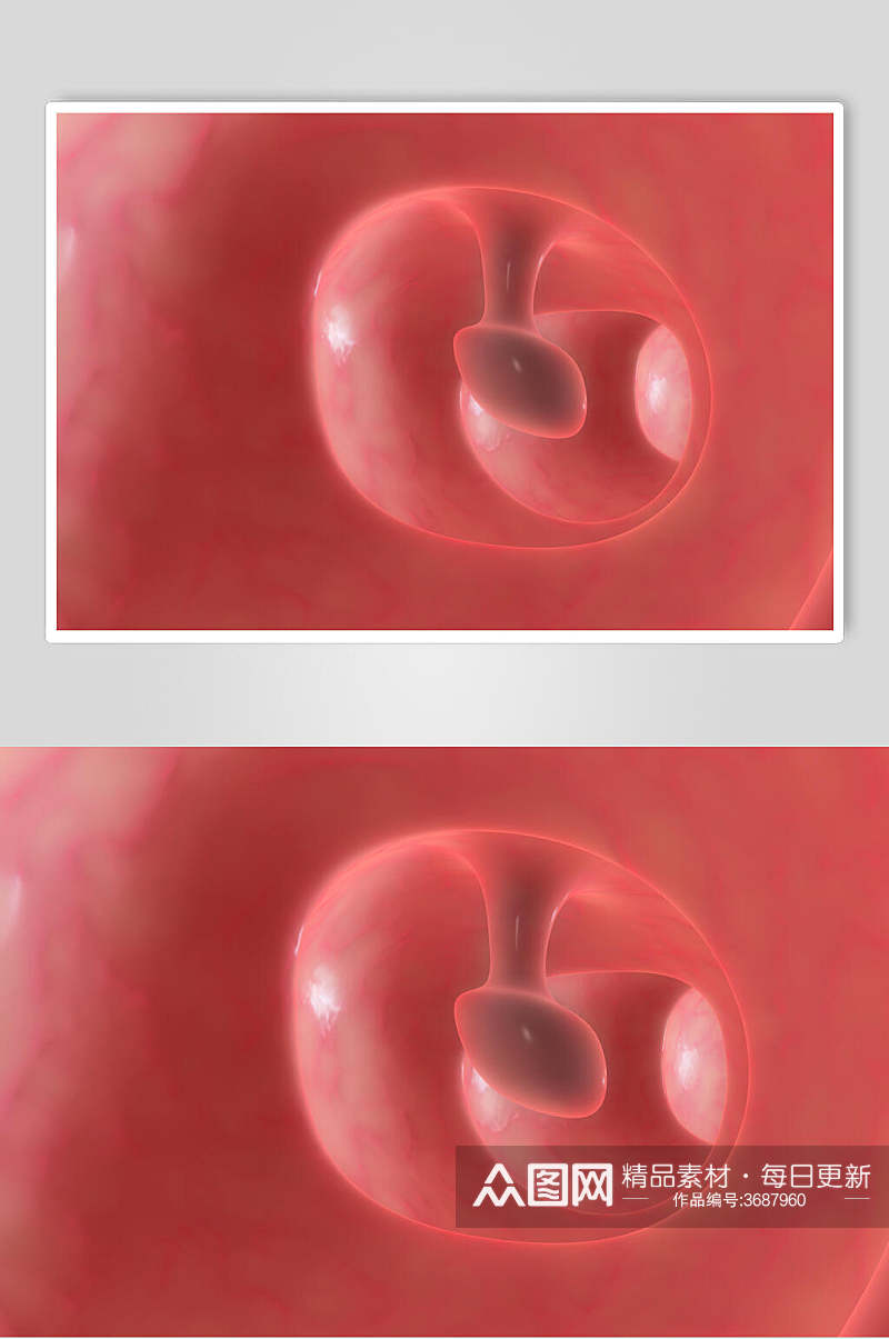 红色圆形细胞病菌图片素材