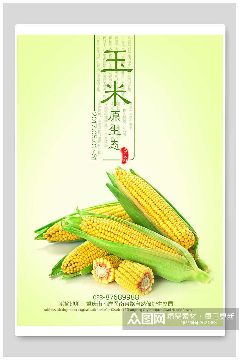 玉米促销宣传海报素材