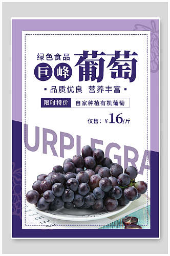 创意绿色食品巨峰葡萄水果海报