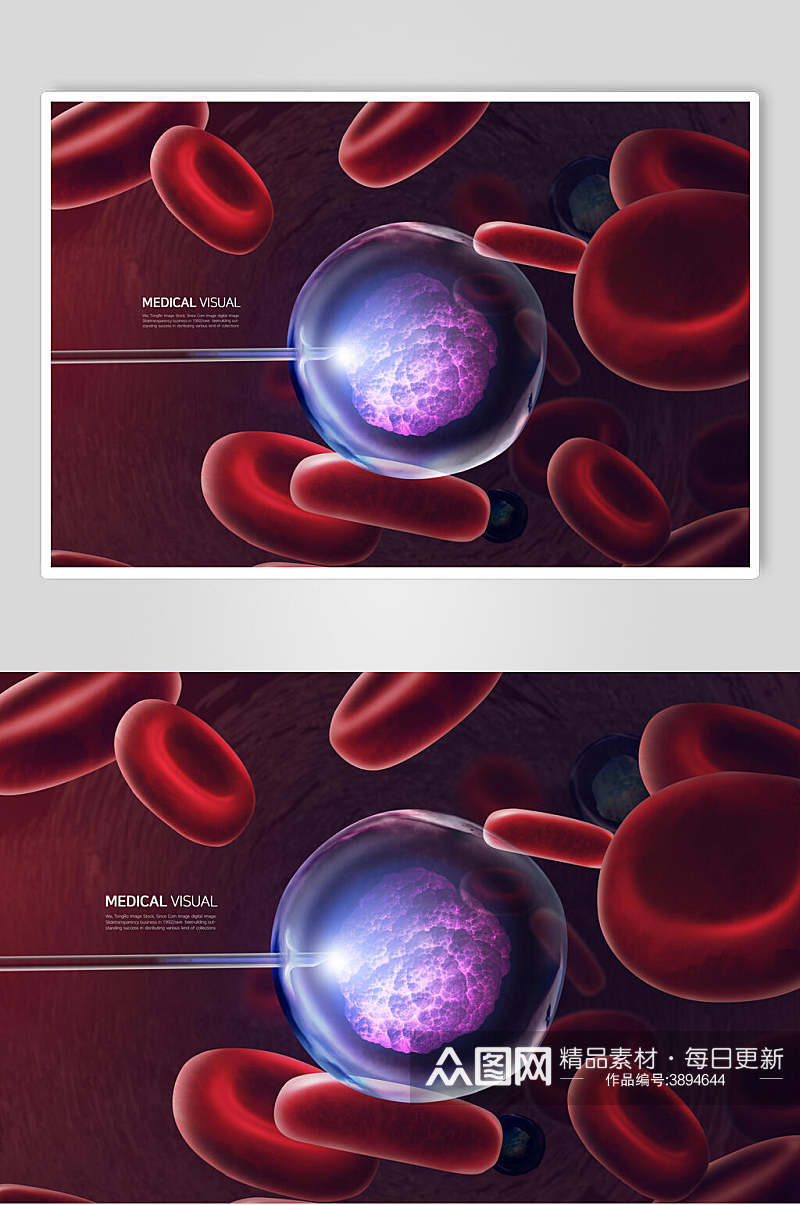 红色生物医疗素材素材