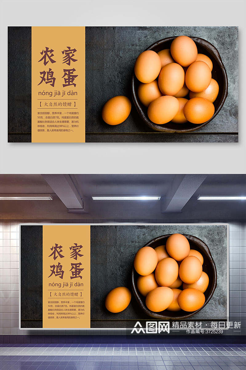时尚农家土鸡蛋食材促销展板素材