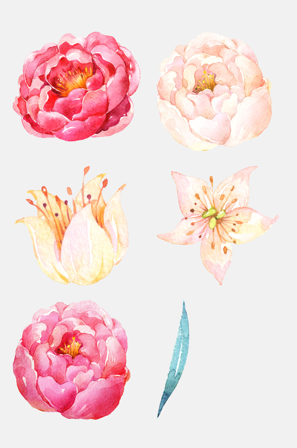 清新花朵水彩花卉植物免抠素材素材