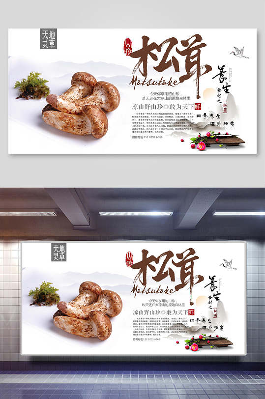 松茸山珍野味中式中医养生文化海报
