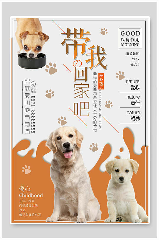 白色宠物海报图片-白色宠物海报设计素材-白色宠物海报模板下载