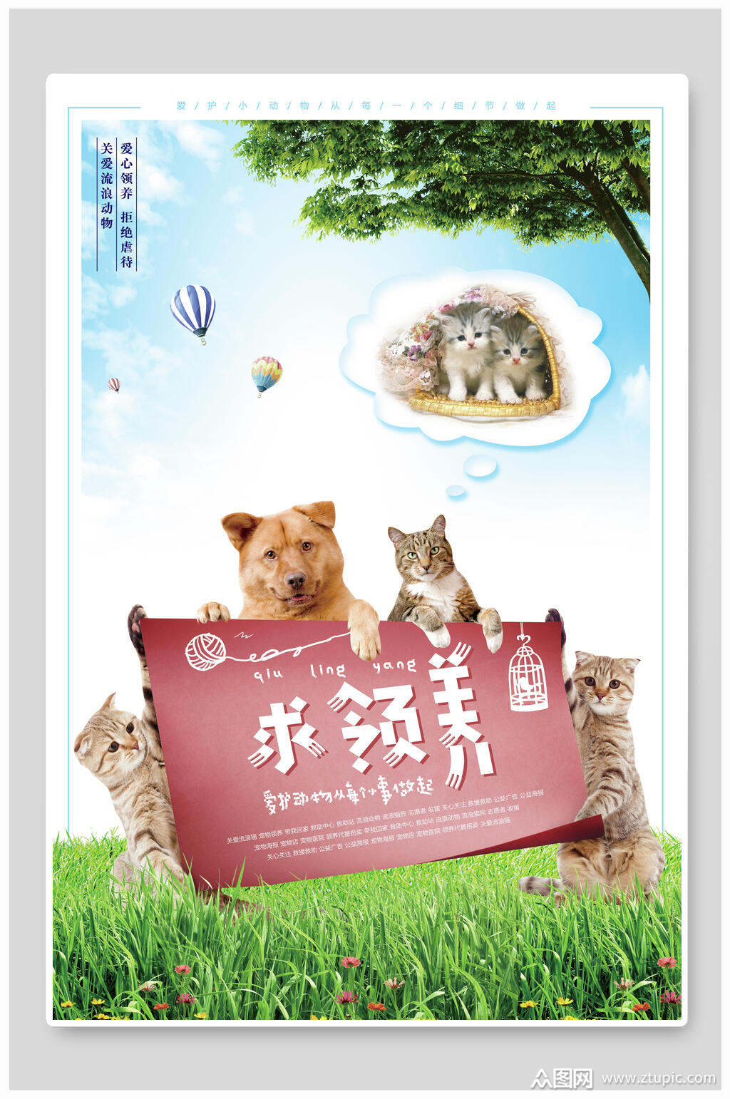狗狗求领养宠物公益海报素材