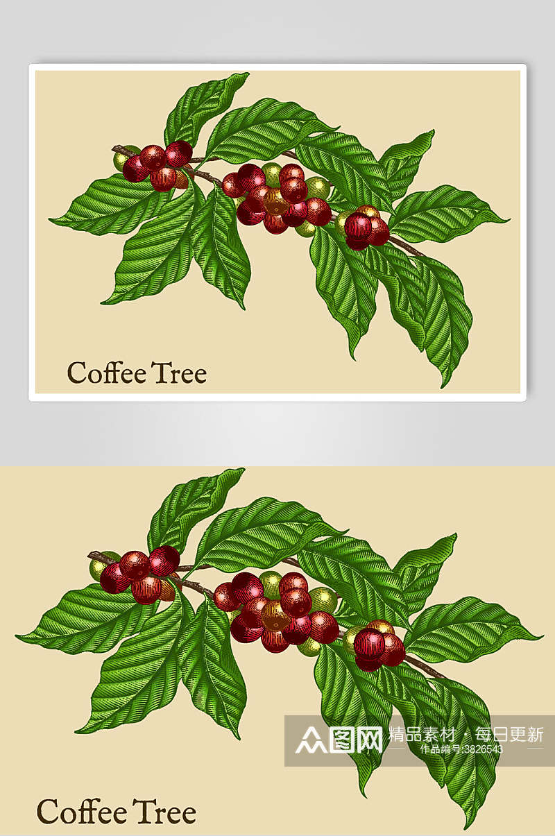 清新植物咖啡插画矢量素材素材
