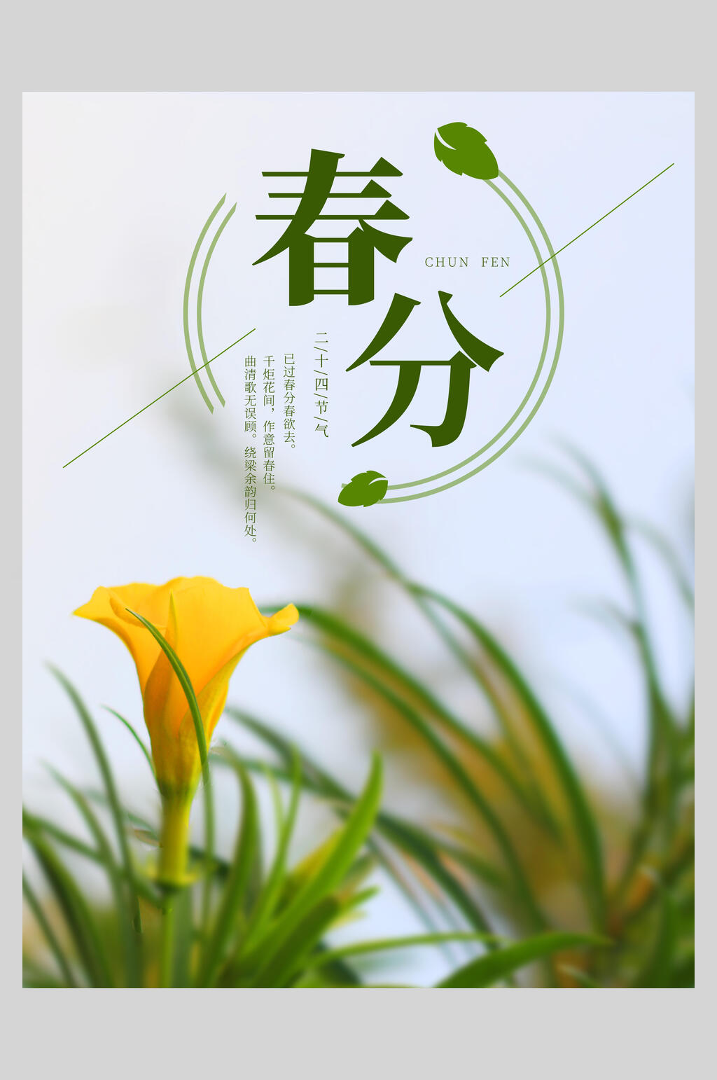 植物春分节气中国节日海报素材