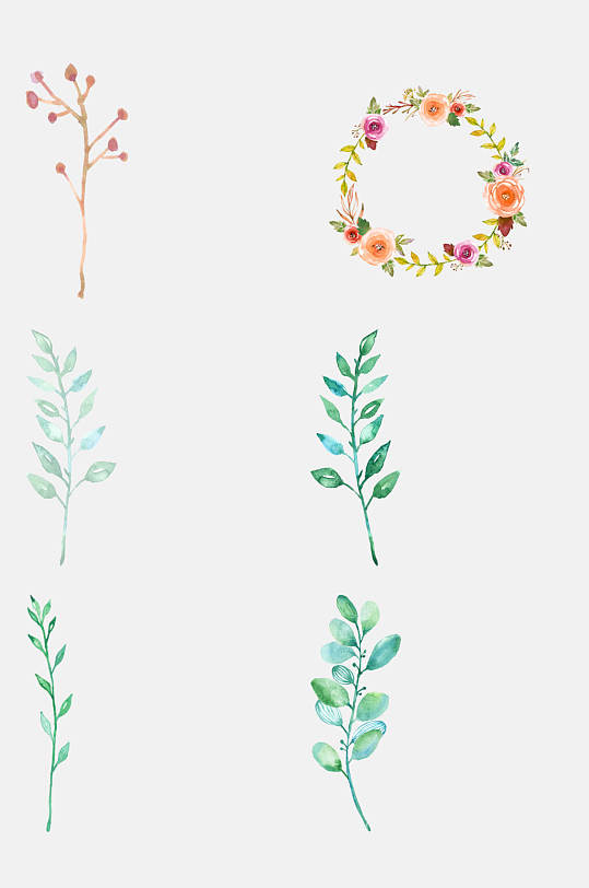 简约时尚水彩花卉植物免抠素材