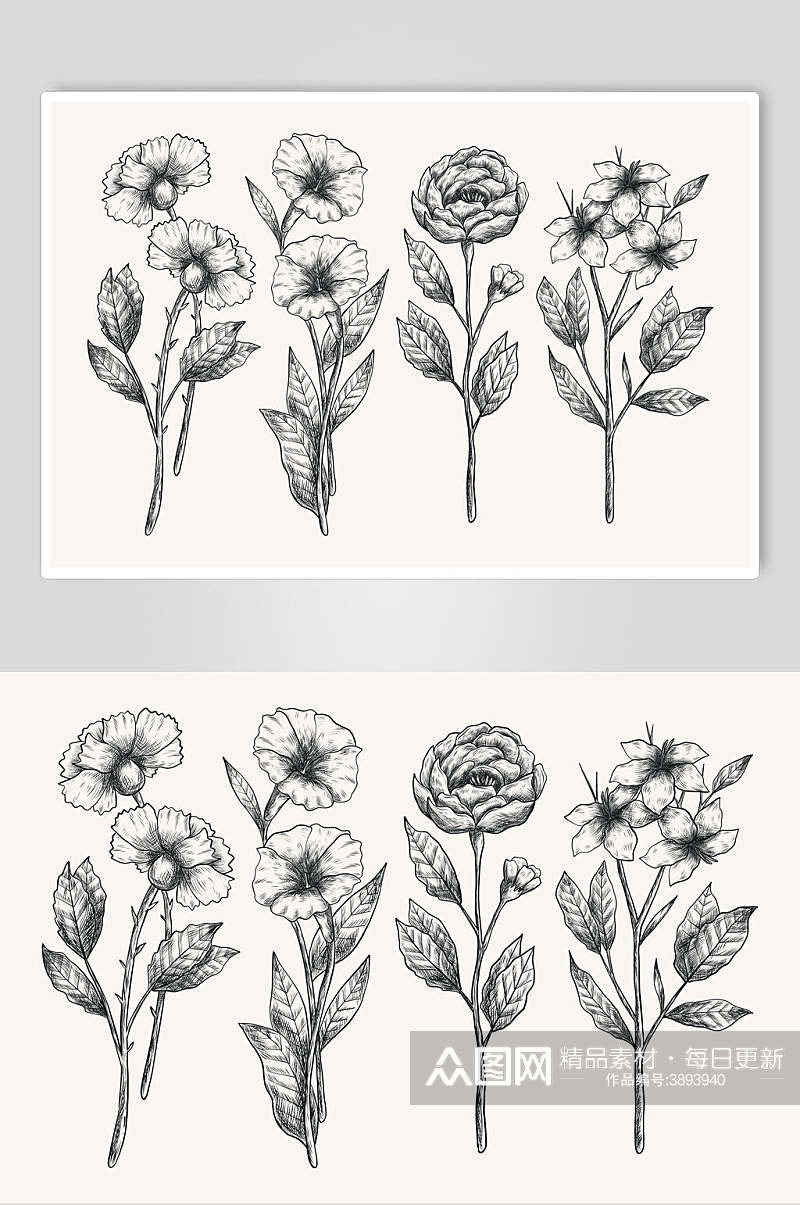 灰色水彩植物花卉手绘矢量素材素材
