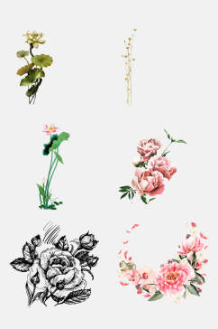 手绘花朵植物花卉免抠设计素材