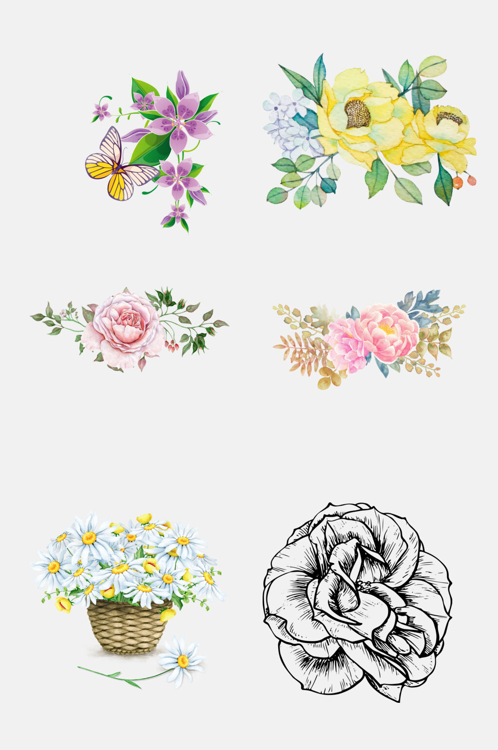 手绘菊花花朵植物花卉免抠设计素材素材