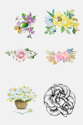 手绘菊花花朵植物花卉免抠设计素材