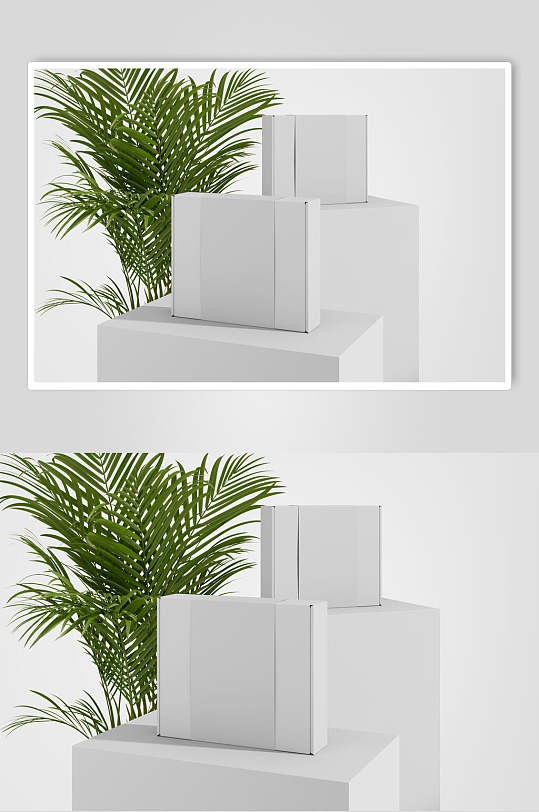 植物创意大气展台白膜盒子场景样机