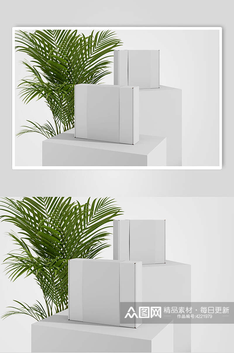 植物创意大气展台白膜盒子场景样机素材