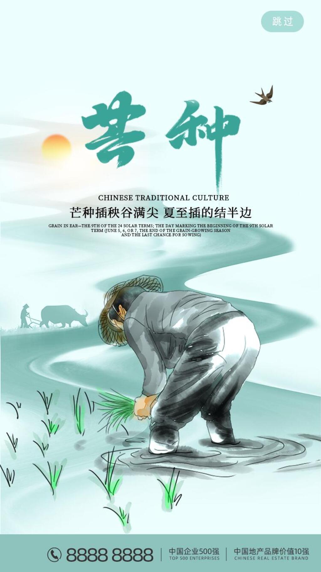 创意芒种插秧演秧谷满尖启动页H五长图素材