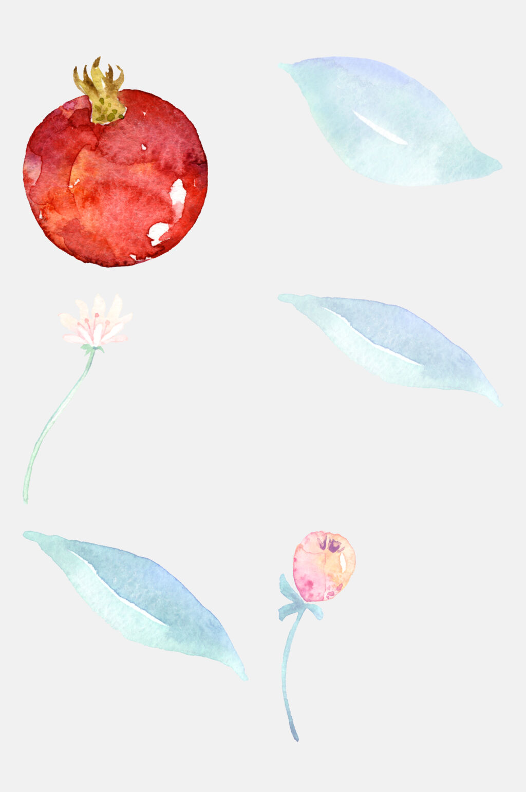 清新绿叶石榴水彩花卉植物免抠素材素材