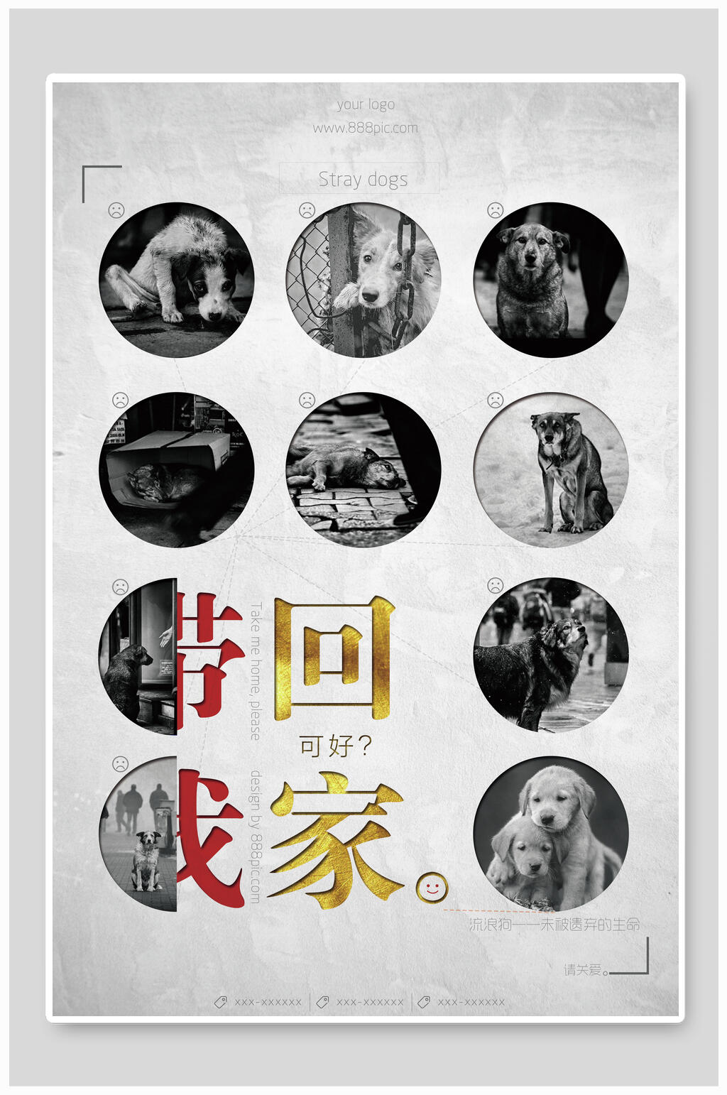 带我回家可好宠物公益海报素材