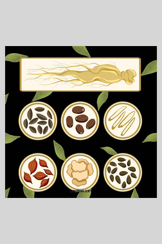 简洁手绘中医药材插画