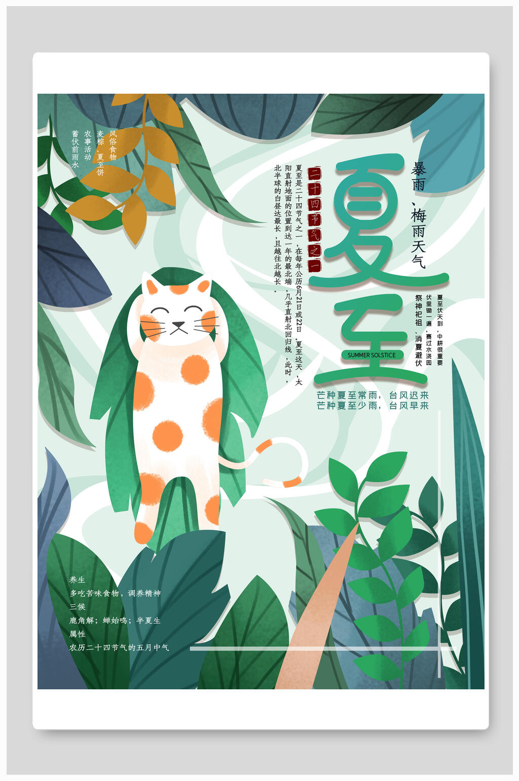 简约可爱猫猫夏至海报素材