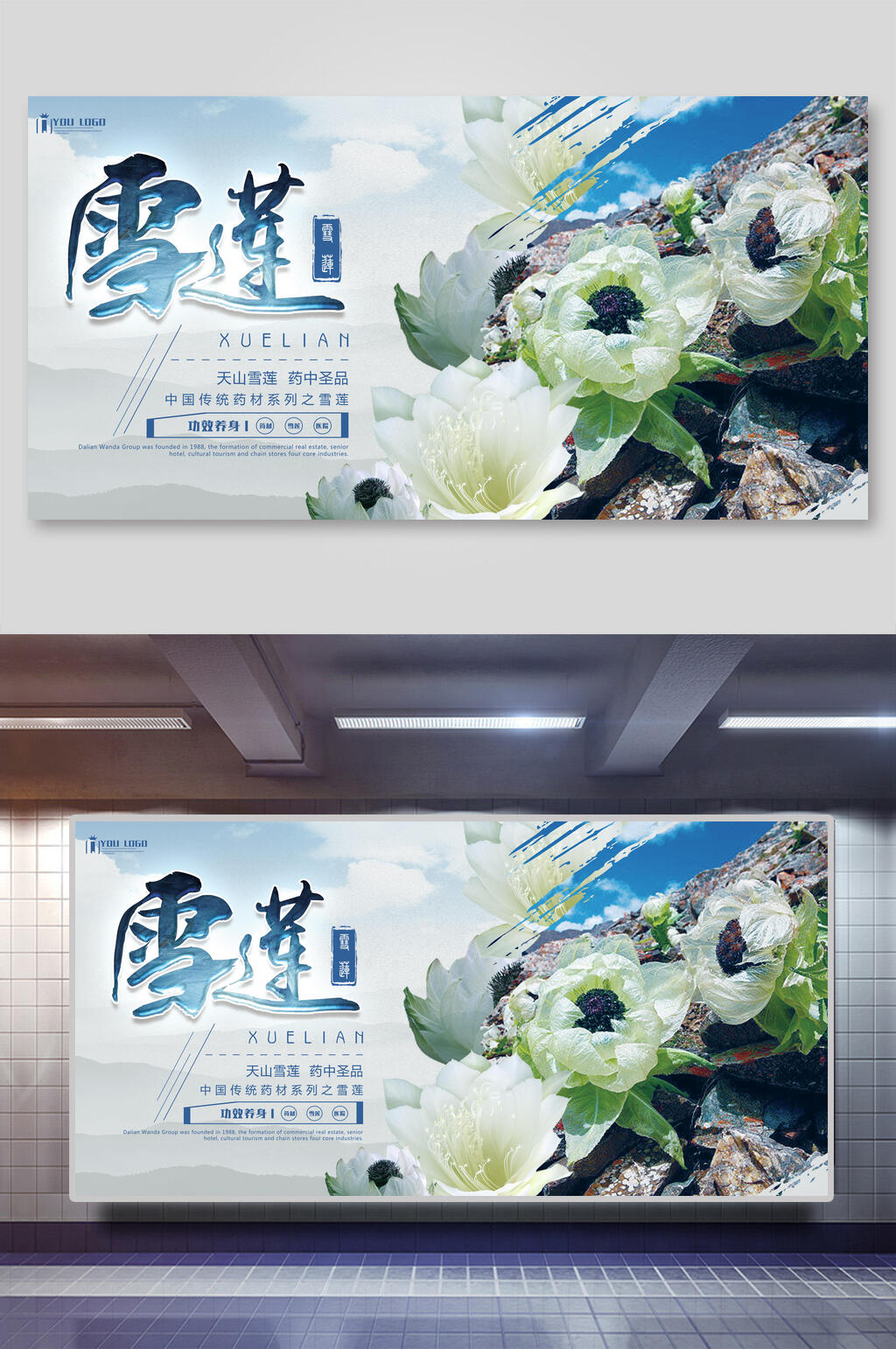 清新淡雅雪莲果展板素材