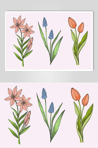 小清新创意水彩植物花卉手绘矢量素材