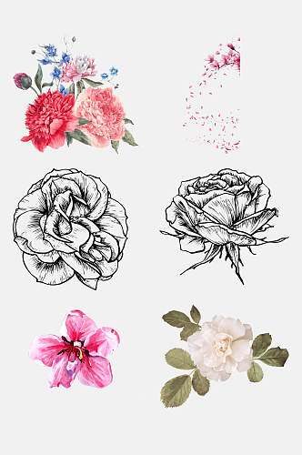 时尚手绘花朵植物花卉免抠素材