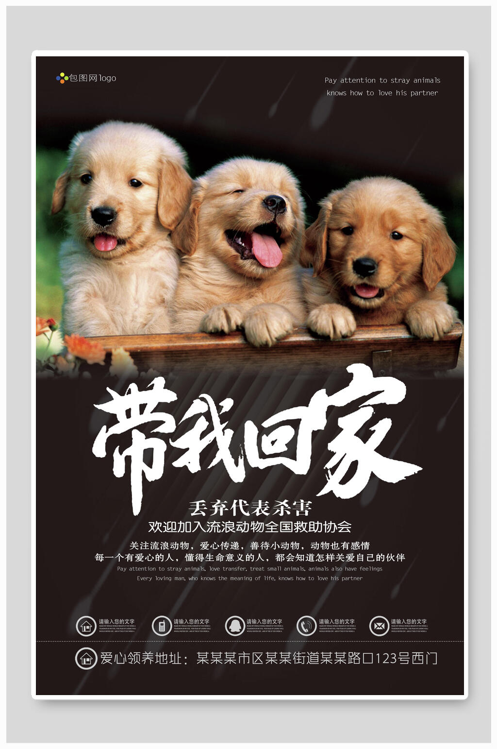 三只狗宠物公益海报素材