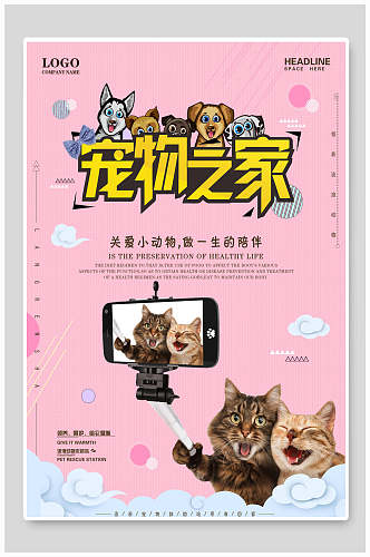 粉色小猫宠物公益海报