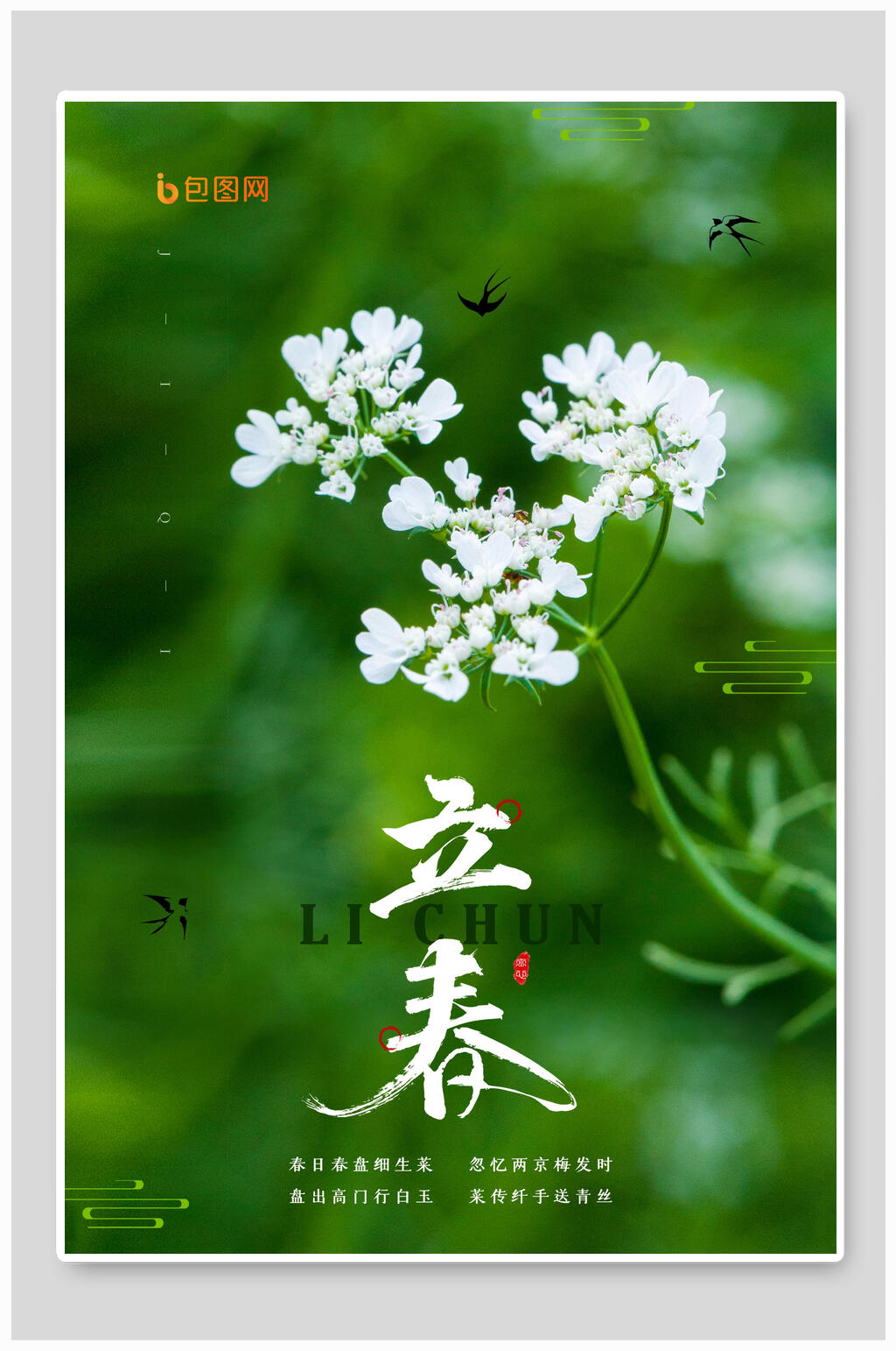绿色植物鲜花立春节气海报素材