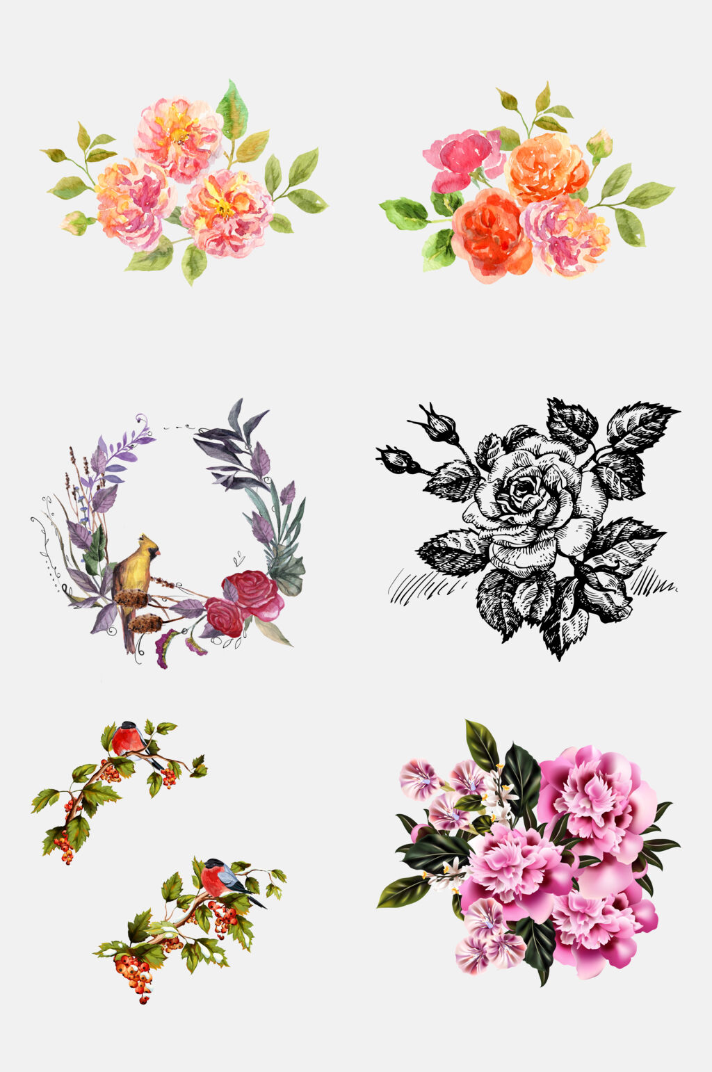 唯美手绘花鸟花朵植物花卉免抠设计素材素材